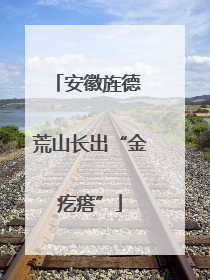 安徽旌德 荒山长出“金疙瘩”