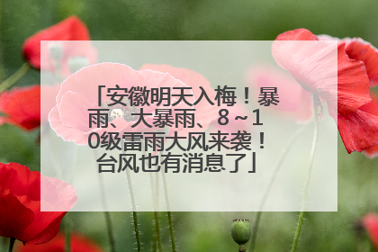 安徽明天入梅！暴雨、大暴雨、8～10级雷雨大风来袭！台风也有消息了