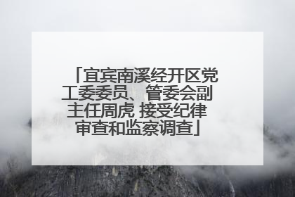 宜宾南溪经开区党工委委员、管委会副主任周虎 接受纪律审查和监察调查
