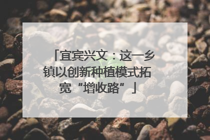宜宾兴文：这一乡镇以创新种植模式拓宽“增收路”
