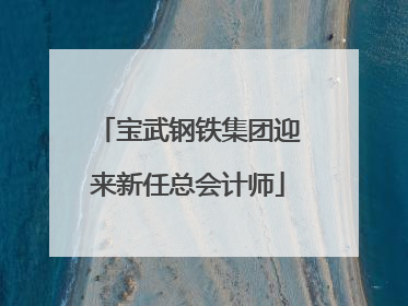 宝武钢铁集团迎来新任总会计师