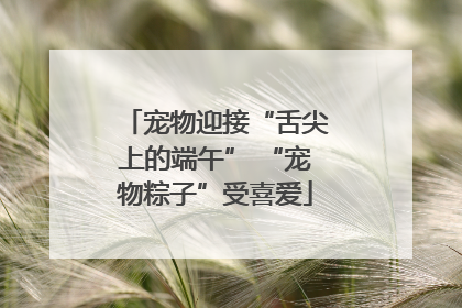 宠物迎接“舌尖上的端午” “宠物粽子”受喜爱