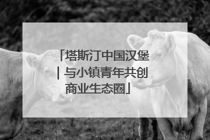 塔斯汀中国汉堡｜与小镇青年共创商业生态圈