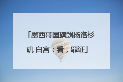 墨西哥国旗飘扬洛杉矶 白宫：看，罪证