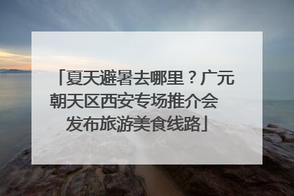 夏天避暑去哪里？广元朝天区西安专场推介会 发布旅游美食线路