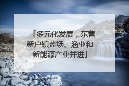 多元化发展，东营新户镇盐场、渔业和新能源产业并进