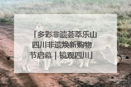 多彩非遗荟萃乐山 四川非遗焕新购物节启幕｜镜观四川