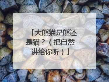 大熊猫是熊还是猫？（把自然讲给你听）