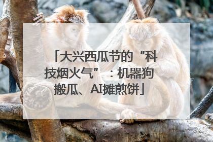 大兴西瓜节的“科技烟火气”：机器狗搬瓜、AI摊煎饼