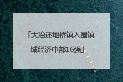 大冶还地桥镇入围镇域经济中部16强