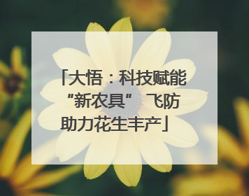 大悟：科技赋能“新农具” 飞防助力花生丰产