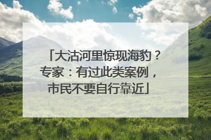 大沽河里惊现海豹？专家：有过此类案例，市民不要自行靠近