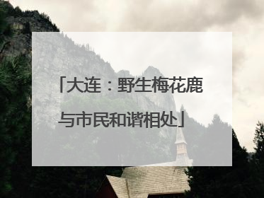 大连：野生梅花鹿与市民和谐相处