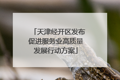 天津经开区发布促进服务业高质量发展行动方案