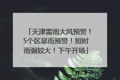 天津雷雨大风预警！5个区暴雨预警！短时雨强较大！下午开场