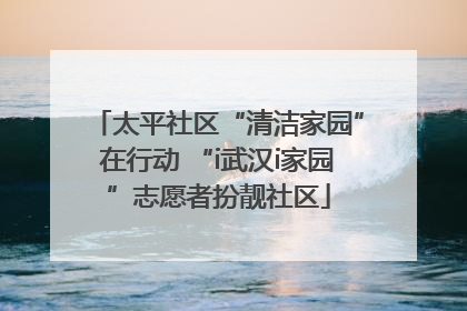 太平社区“清洁家园”在行动 “i武汉i家园”志愿者扮靓社区
