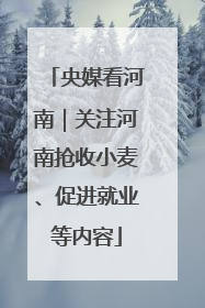 央媒看河南｜关注河南抢收小麦、促进就业等内容