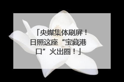 央媒集体刷屏！日照这座“宝藏港口”火出圈！