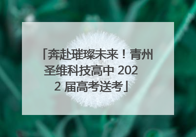 奔赴璀璨未来！青州圣维科技高中 2022 届高考送考