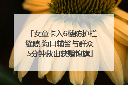 女童卡入6楼防护栏缝隙 海口辅警与群众5分钟救出获赠锦旗