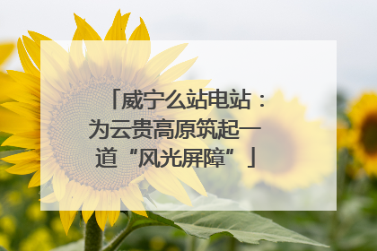 威宁么站电站：为云贵高原筑起一道“风光屏障”