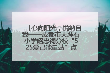 心向阳光，悦纳自我——成都市天涯石小学昭忠祠分校“525爱己能量站”点亮孩子心灵之旅