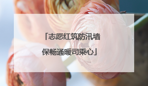 志愿红筑防汛墙 保畅通暖司乘心