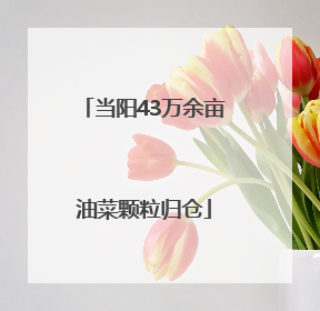 当阳43万余亩油菜颗粒归仓
