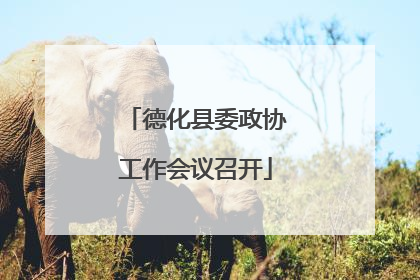 德化县委政协工作会议召开