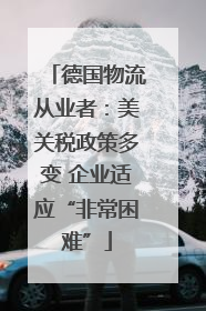 德国物流从业者：美关税政策多变 企业适应“非常困难”