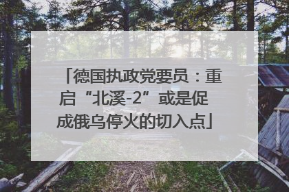 德国执政党要员：重启“北溪-2”或是促成俄乌停火的切入点