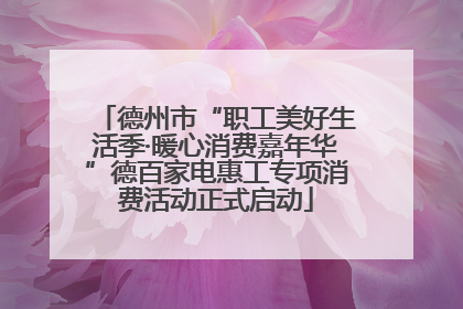 德州市“职工美好生活季·暖心消费嘉年华”德百家电惠工专项消费活动正式启动