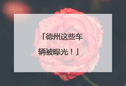 德州这些车辆被曝光！