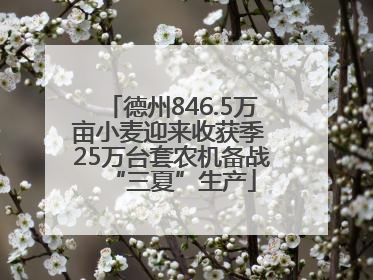 德州846.5万亩小麦迎来收获季 25万台套农机备战“三夏”生产