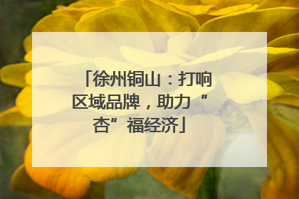 徐州铜山：打响区域品牌，助力“杏”福经济