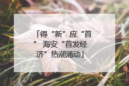 得“新”应“首” 海安“首发经济”热潮涌动