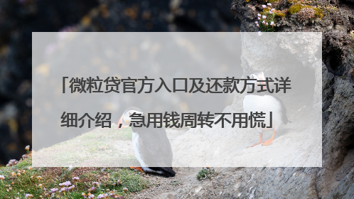 微粒贷官方入口及还款方式详细介绍，急用钱周转不用慌