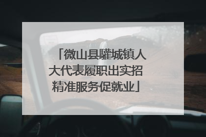 微山县驩城镇人大代表履职出实招精准服务促就业