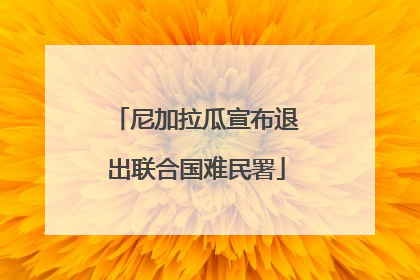 尼加拉瓜宣布退出联合国难民署
