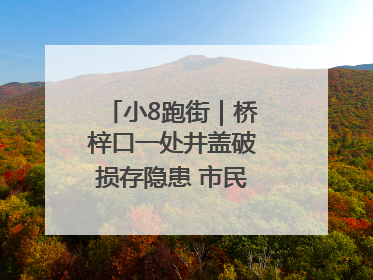 小8跑街｜桥梓口一处井盖破损存隐患 市民盼立即整修