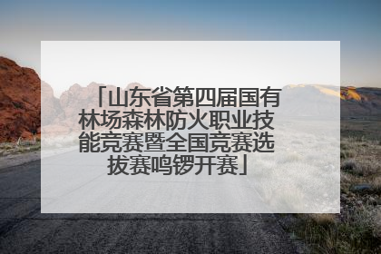 山东省第四届国有林场森林防火职业技能竞赛暨全国竞赛选拔赛鸣锣开赛