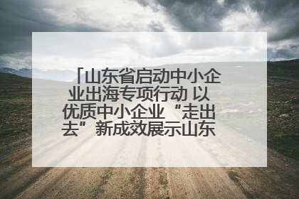 山东省启动中小企业出海专项行动 以优质中小企业“走出去”新成效展示山东产业发展新形象