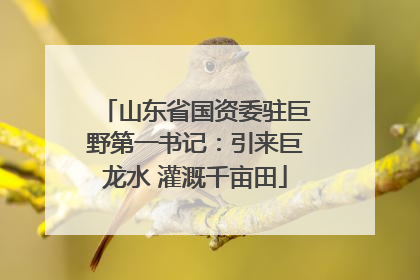山东省国资委驻巨野第一书记：引来巨龙水 灌溉千亩田