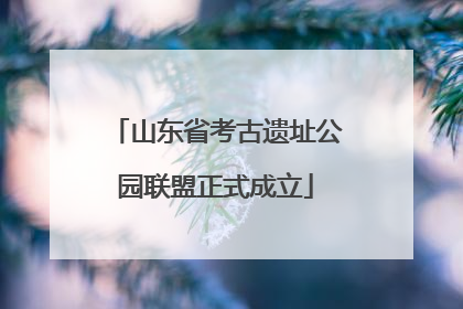 山东省考古遗址公园联盟正式成立