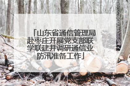 山东省通信管理局赴枣庄开展党支部联学联建并调研通信业防汛准备工作