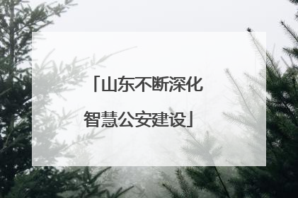 山东不断深化智慧公安建设