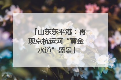 山东东平港：再现京杭运河“黄金水道”盛景