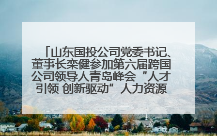 山东国投公司党委书记、董事长栾健参加第六届跨国公司领导人青岛峰会“人才引领 创新驱动”人力资源高质量发展对话会