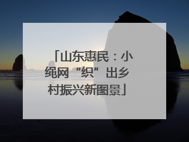 山东惠民：小绳网“织”出乡村振兴新图景