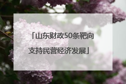 山东财政50条靶向支持民营经济发展